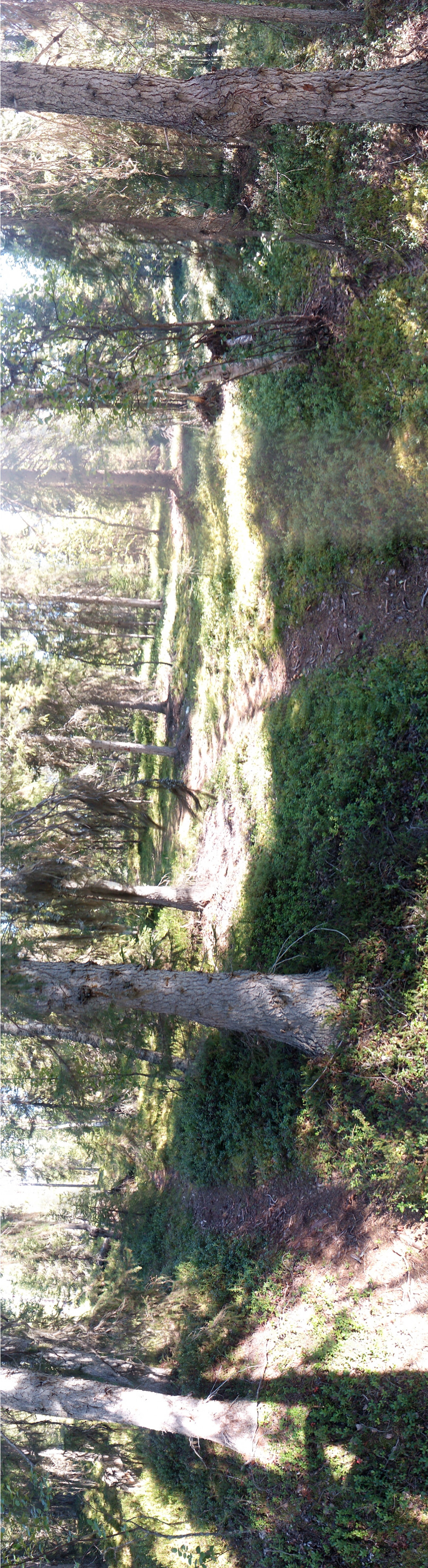 IMG 20150819 124103.jpg