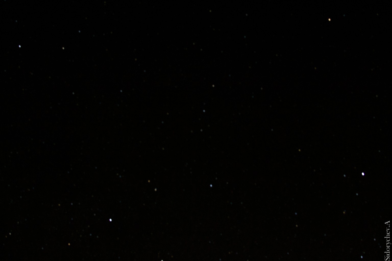  DSC9081.jpg