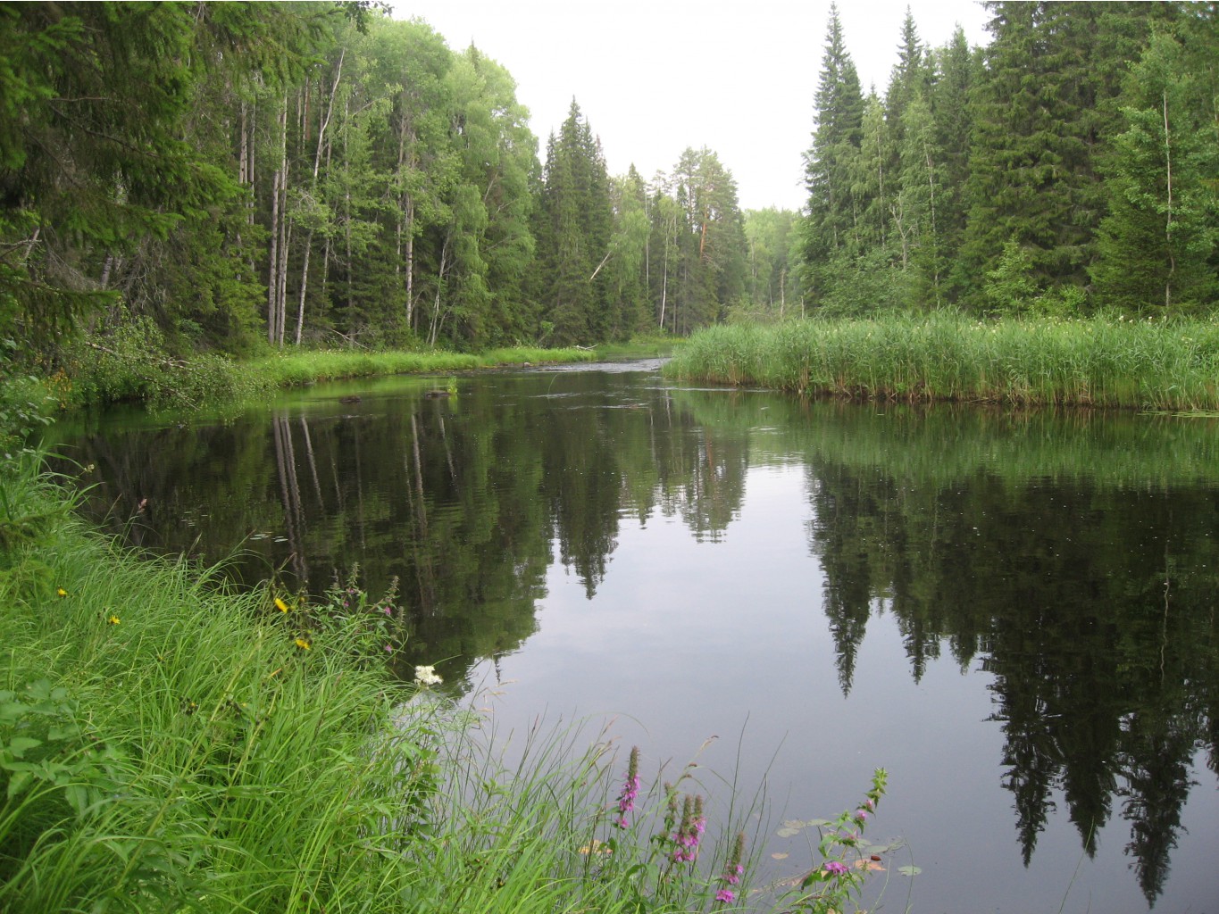 IMG 8793.JPG