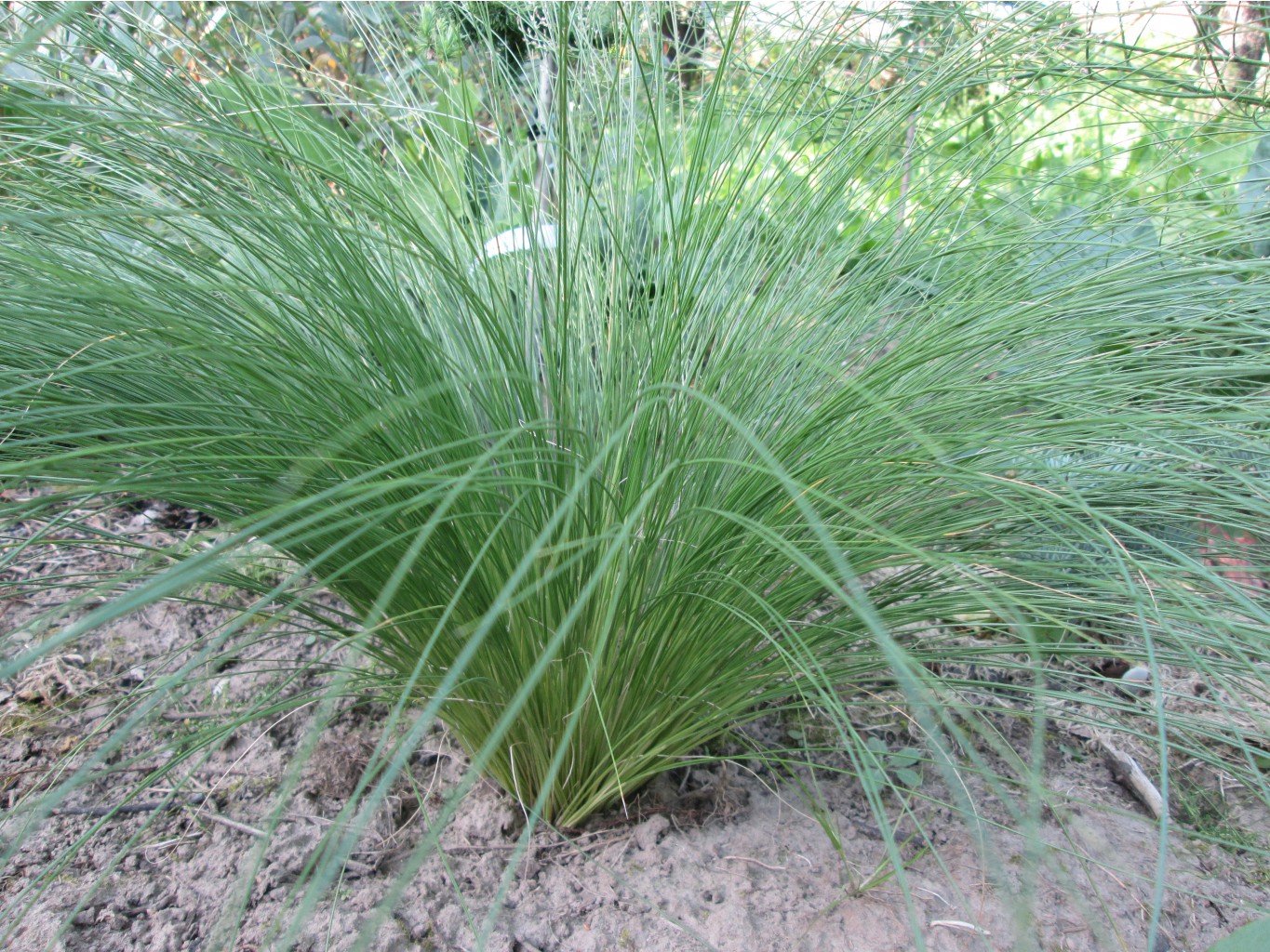 IMG 3434.JPG