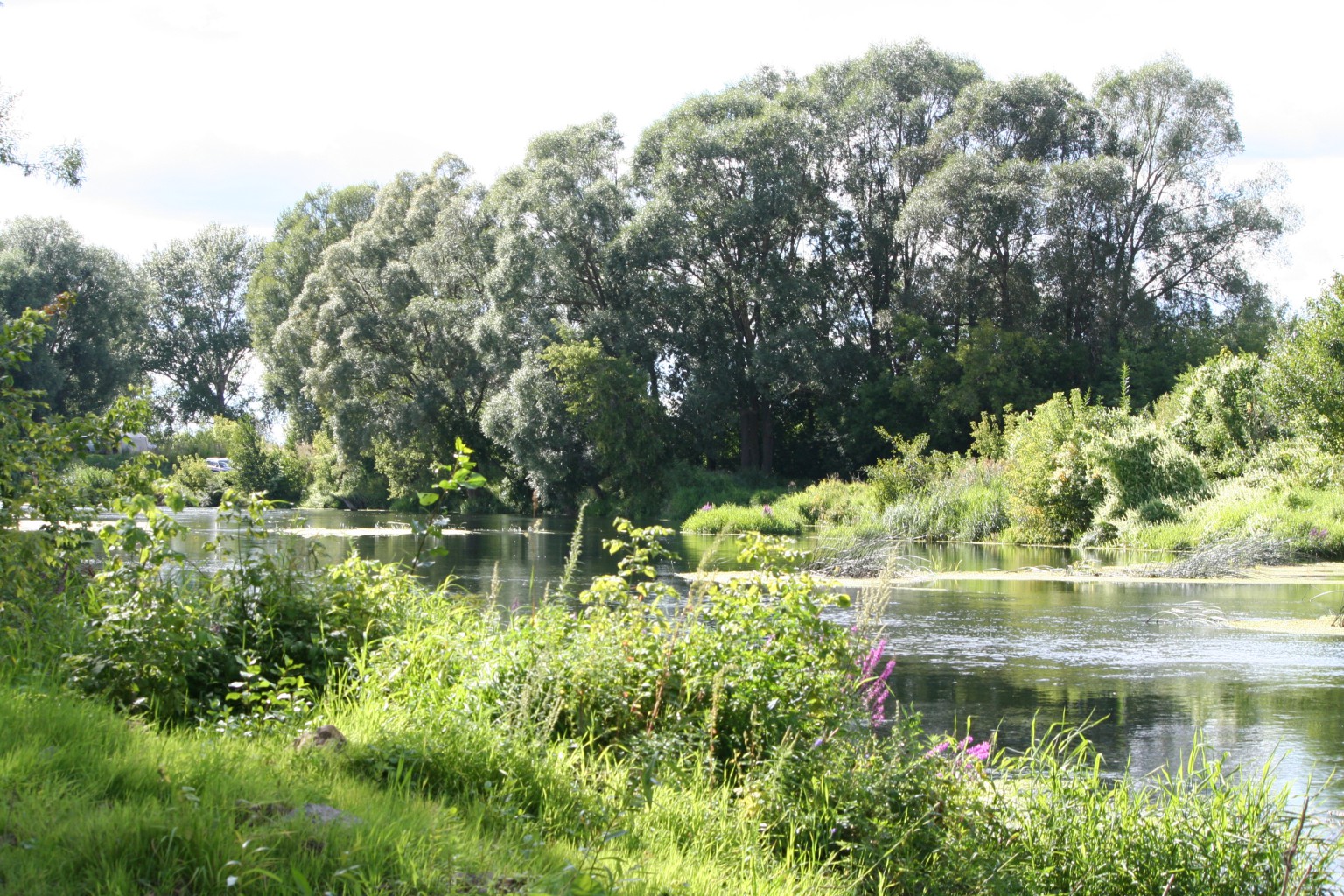 IMG 0055.JPG