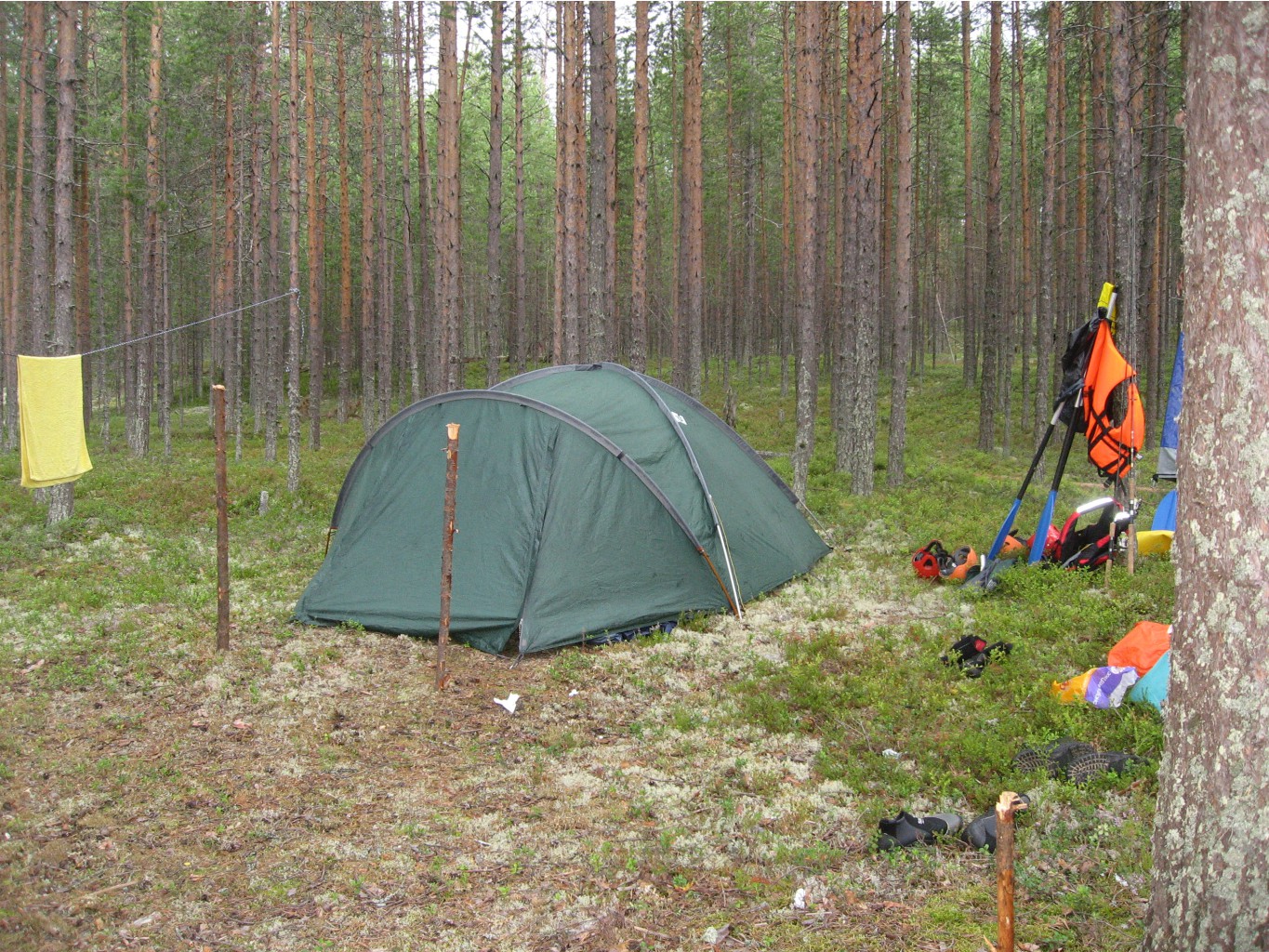 IMG 8849.JPG