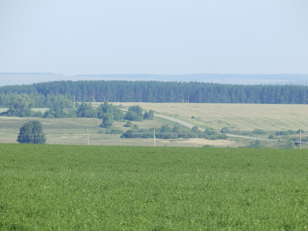 P7270119.JPG