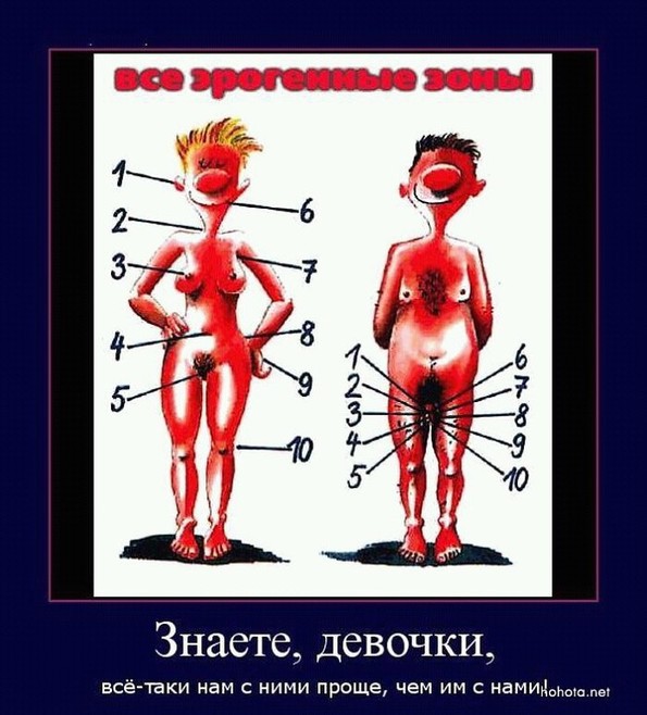 Erogennye Zony.jpg