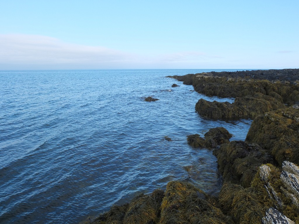 DSCF1044.JPG