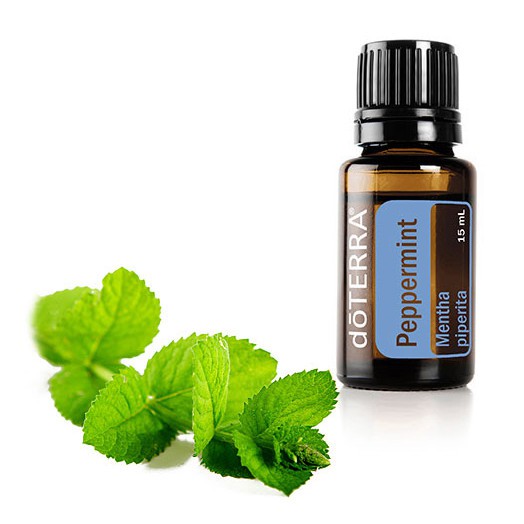   Peppermint Essential Oil