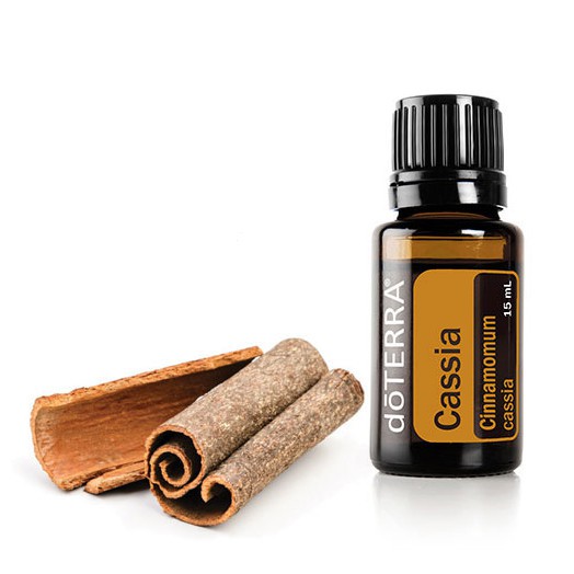  Cassia Essential Oil