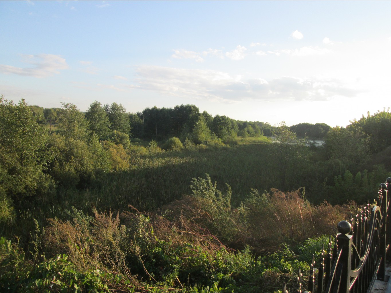 IMG 3505.JPG