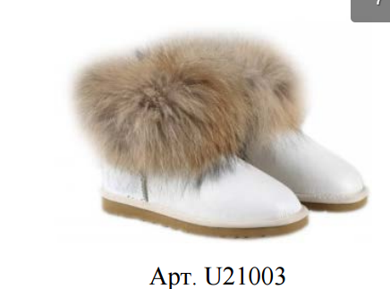 UGG classic (short) woman (  )_U21003_4620 