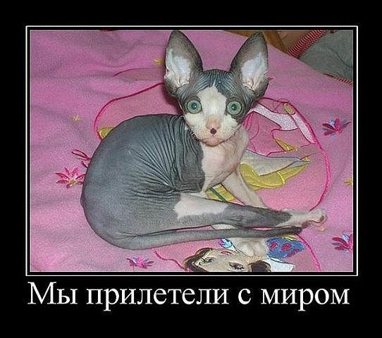 GetImage(76).jpg
