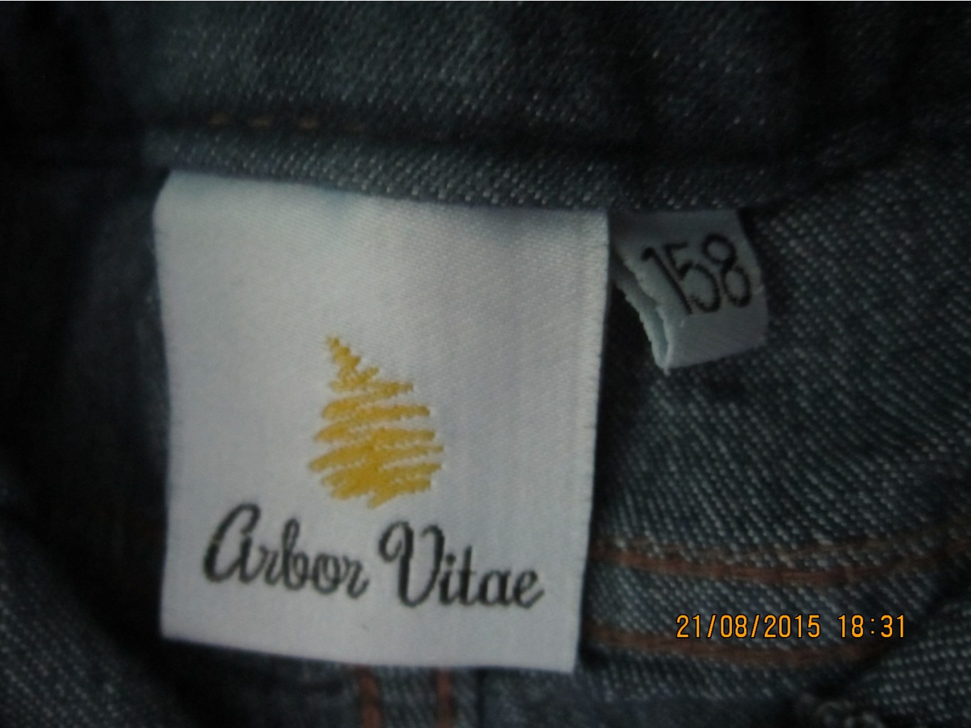  Arbor Vitae   11-12  200 .