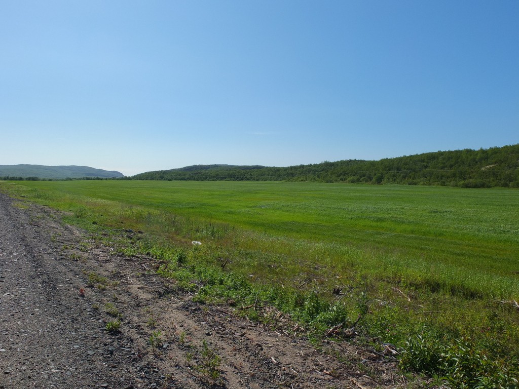 DSCF1237.JPG