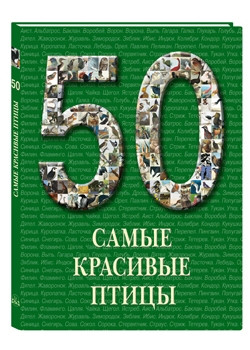 50. Самые красивые птицы