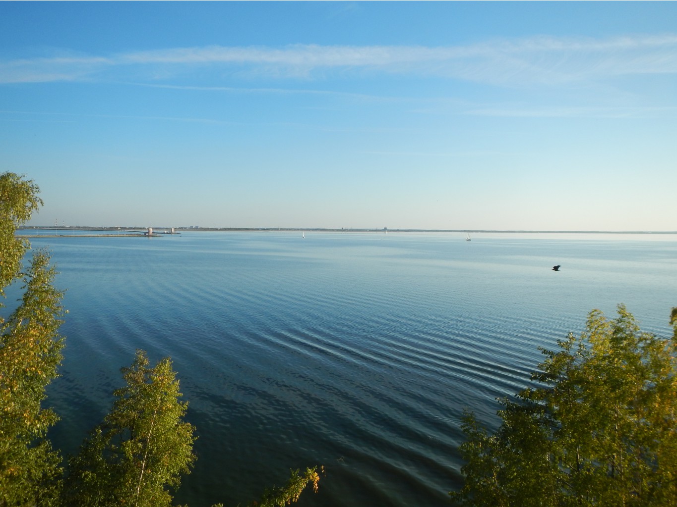 DSCN0854.JPG