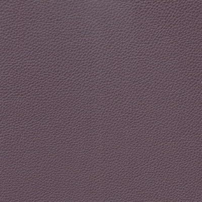 Premier-grapes.jpg