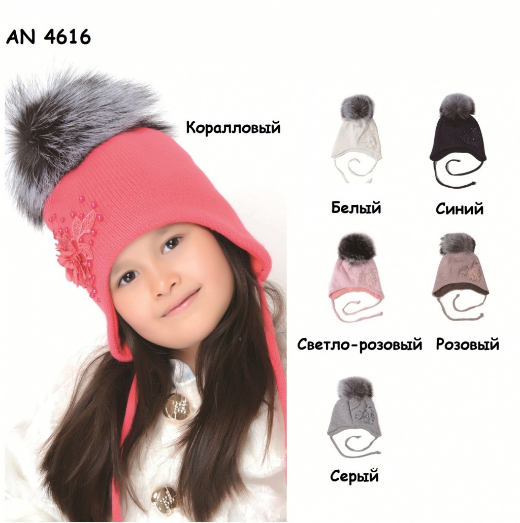 AN 4616 950р