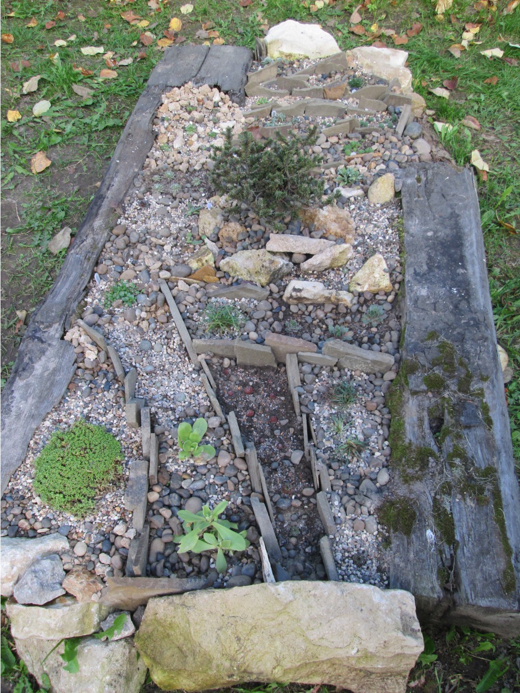 IMG 3695.JPG