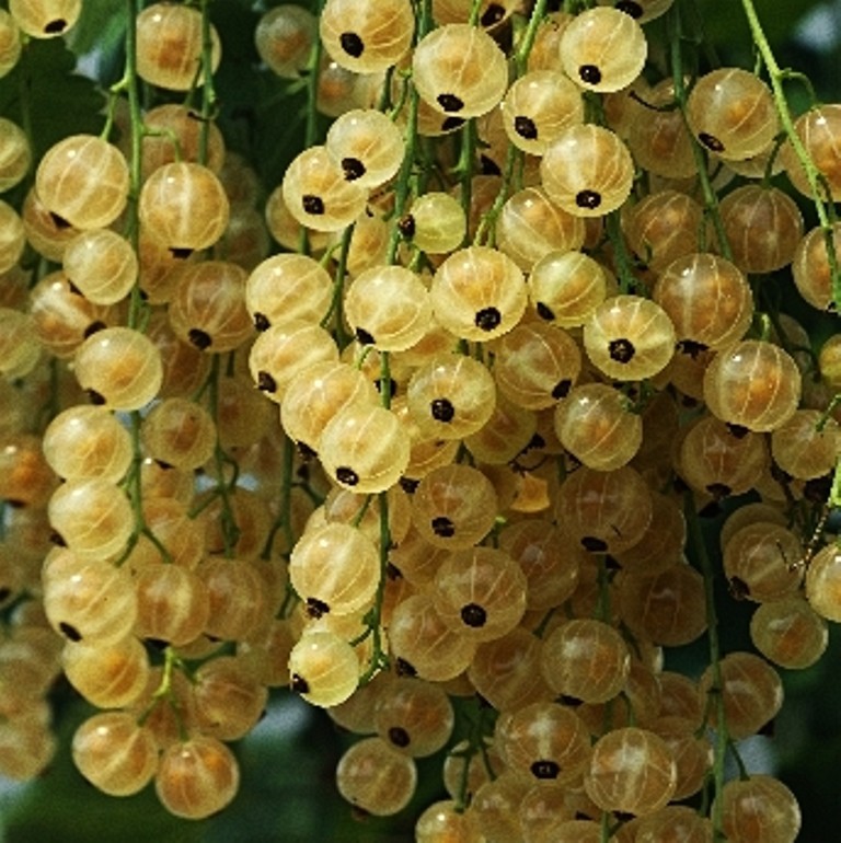   .-150