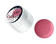 Gel RuNail cvetnoj Dusty Rose pripudrennaja roza min.jpg