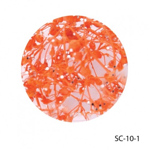    SC-10-1.jpg