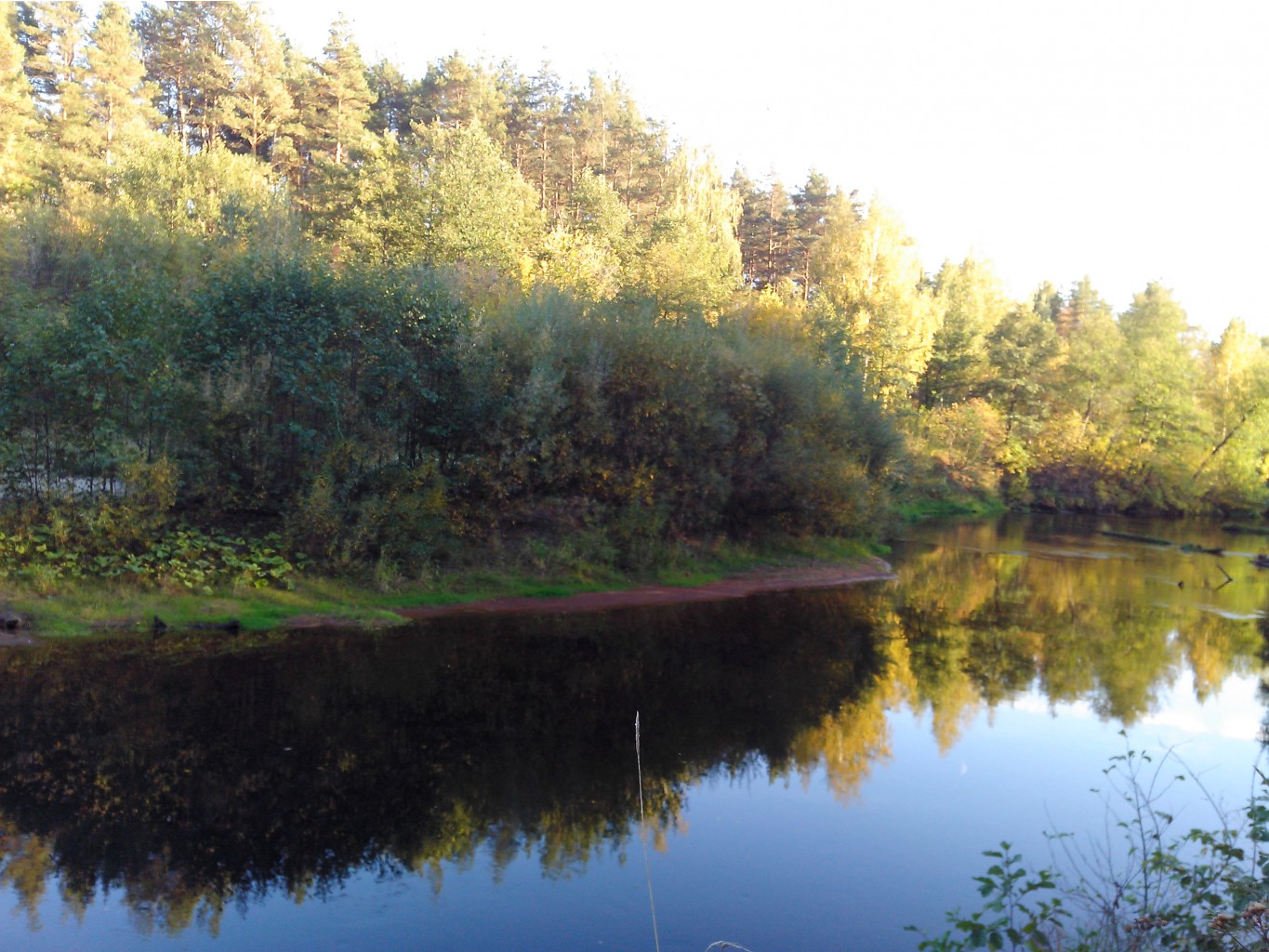 IMG 20150920 170543.jpg