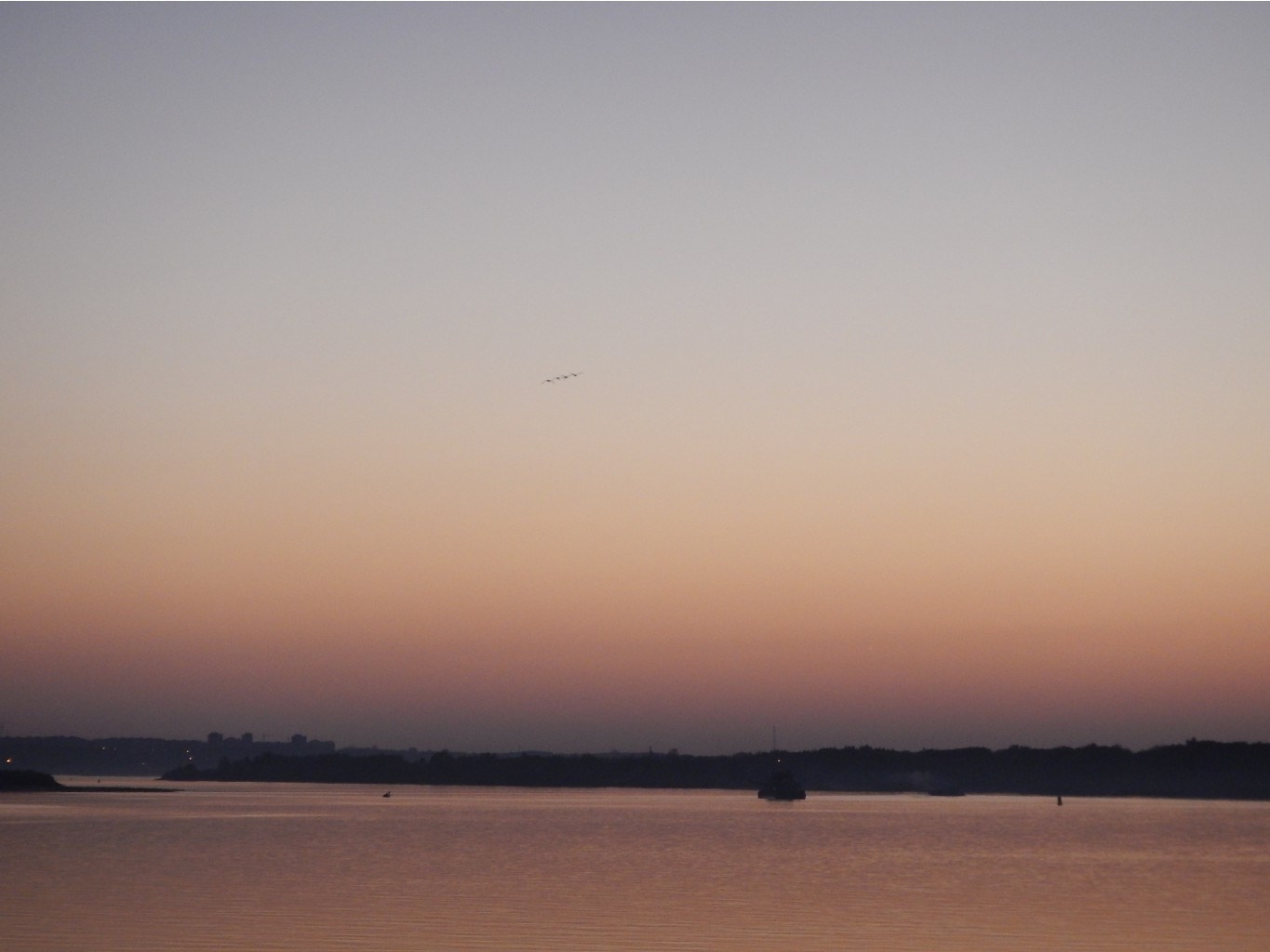 DSCN4452.JPG