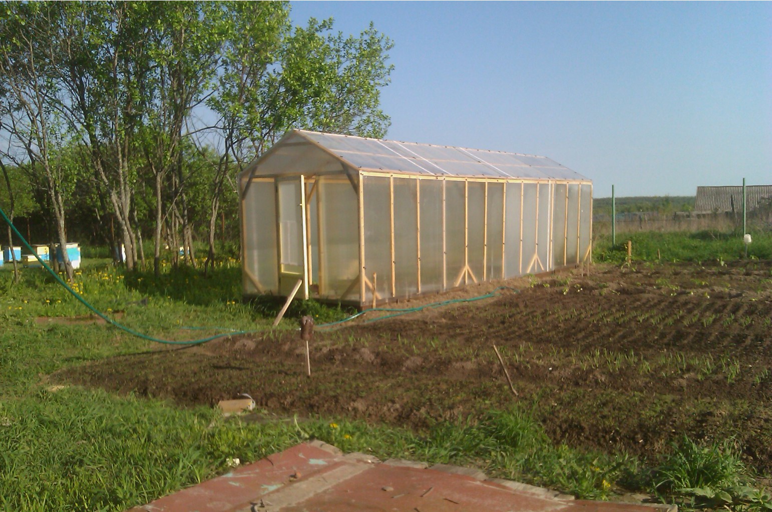IMAG0197.jpg