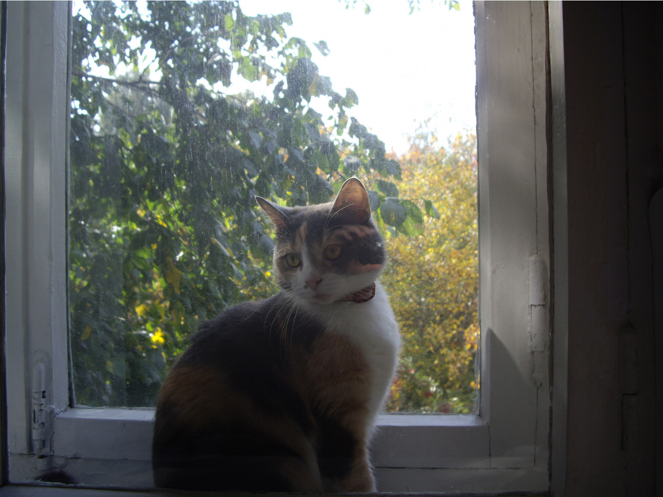 IMGP0002.JPG