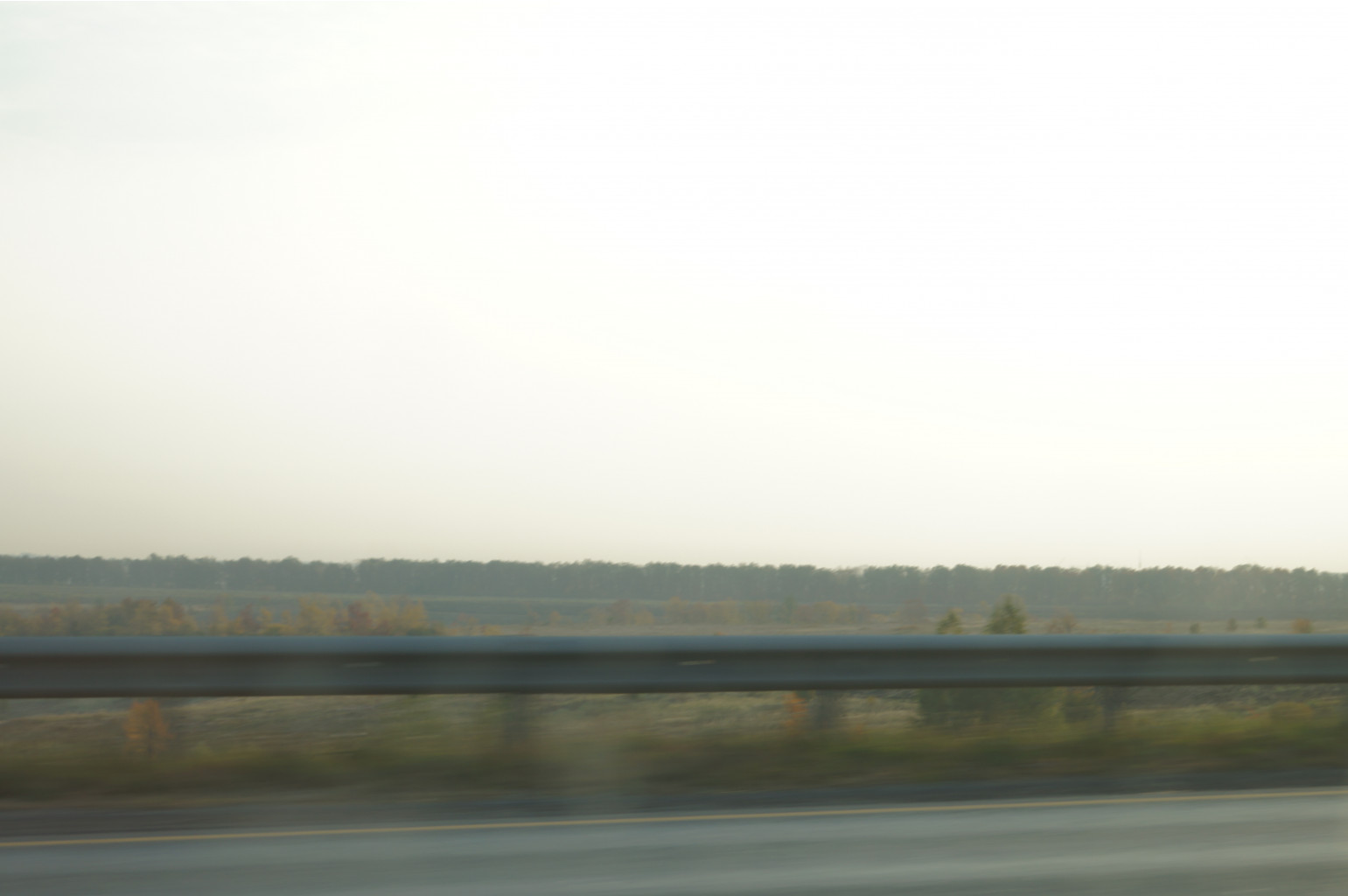 DSC01495.JPG