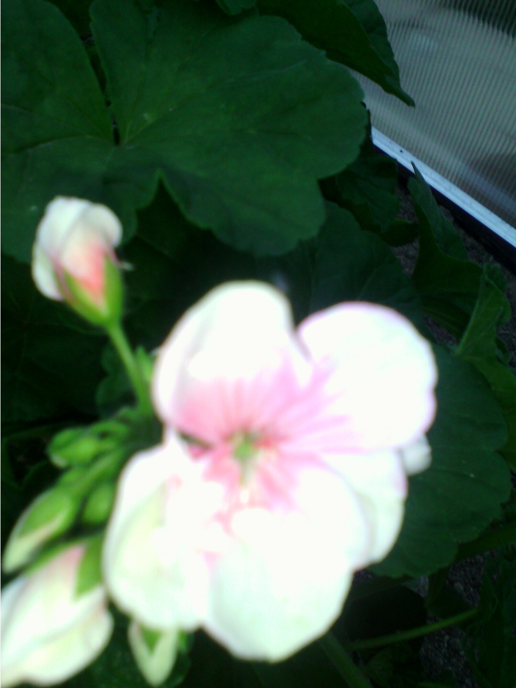 IMG 20150929 183427.jpg
