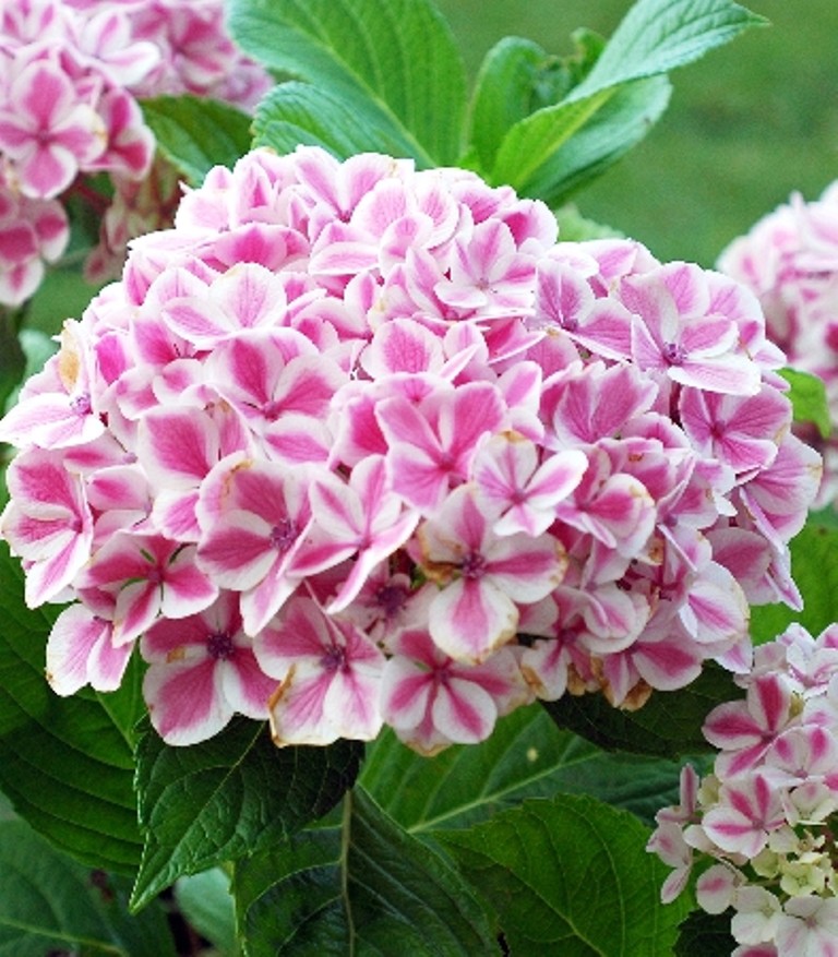   190