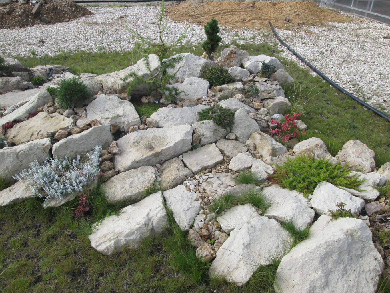 IMG 3653.JPG