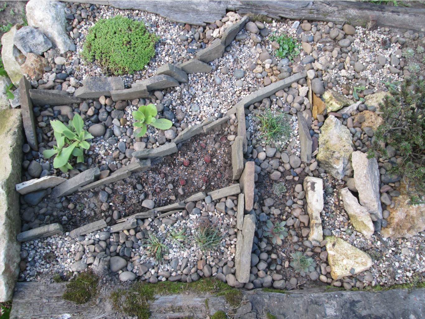 IMG 3696.JPG