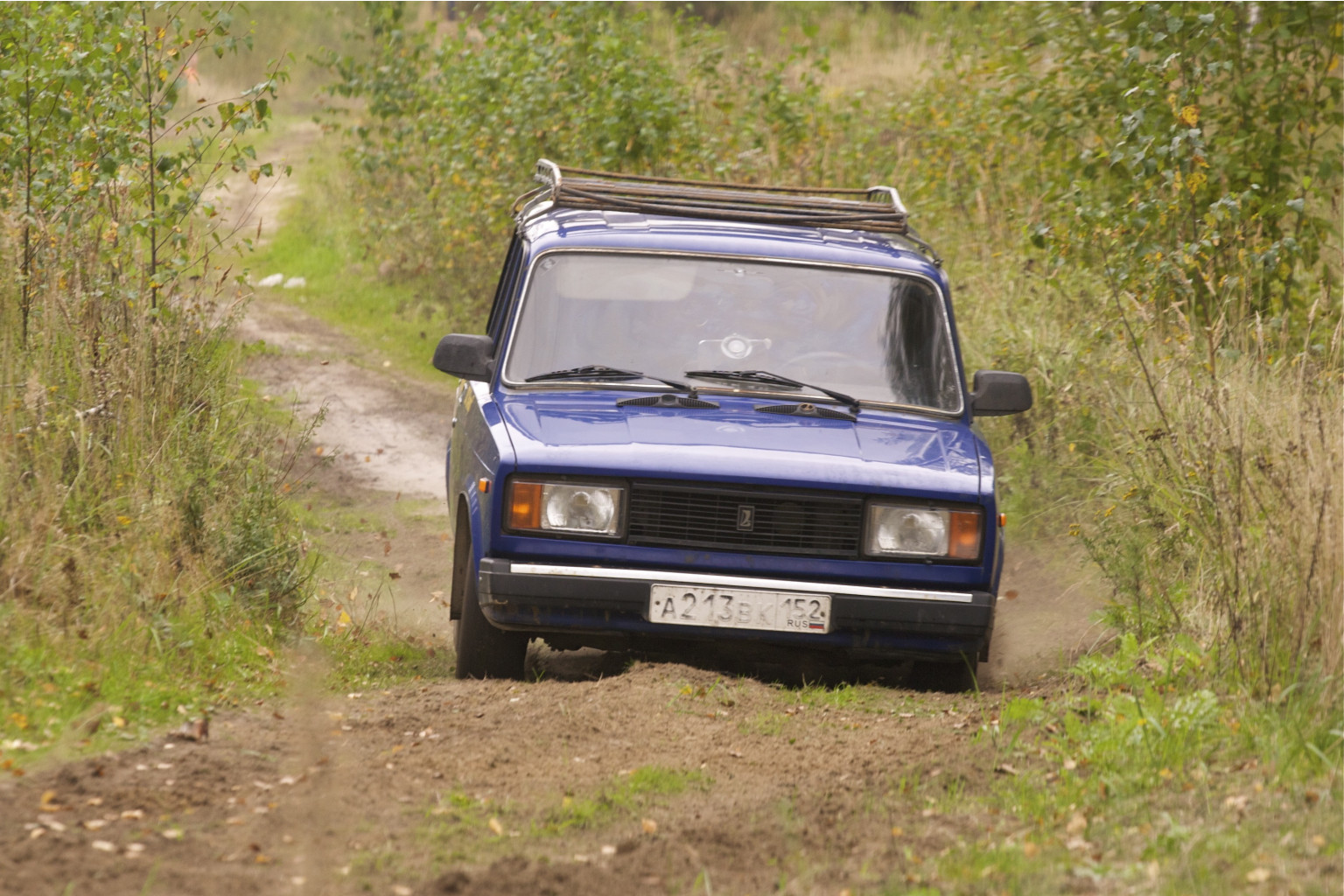 IMG 2173.jpg