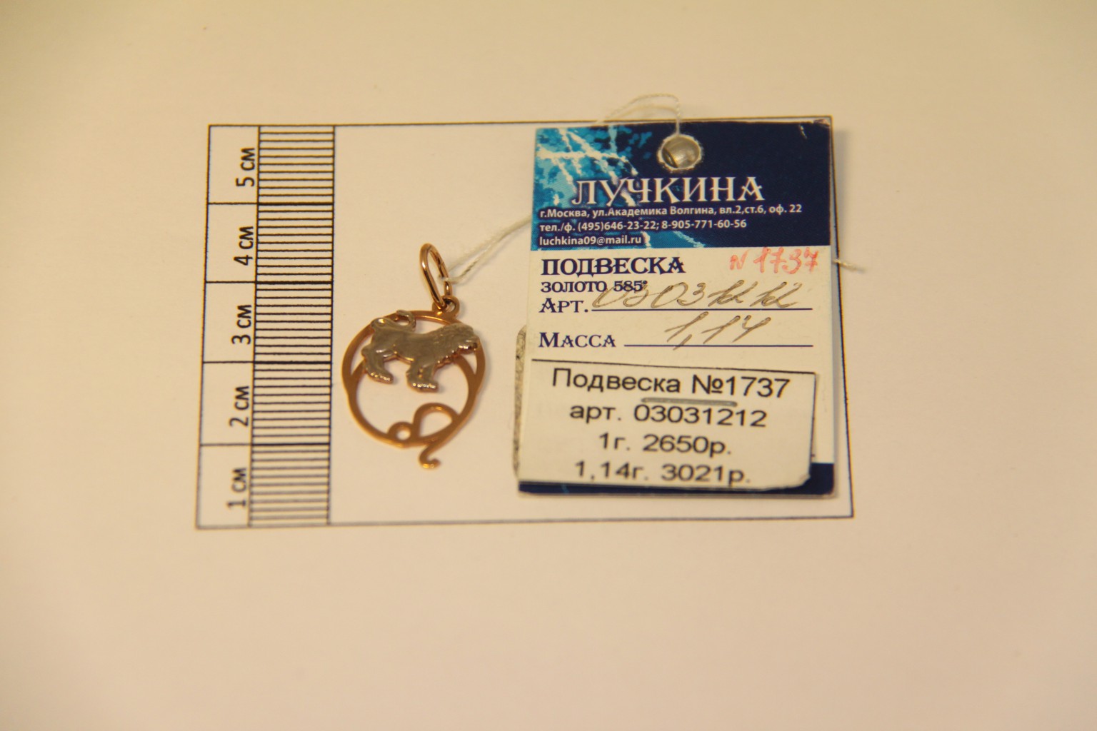IMG 7890.JPG