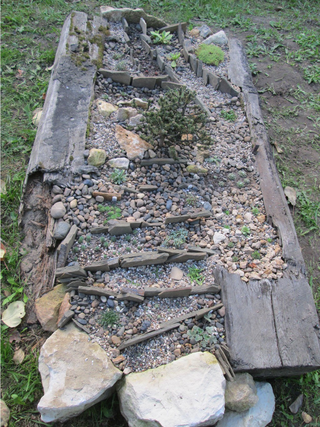 IMG 3694.JPG