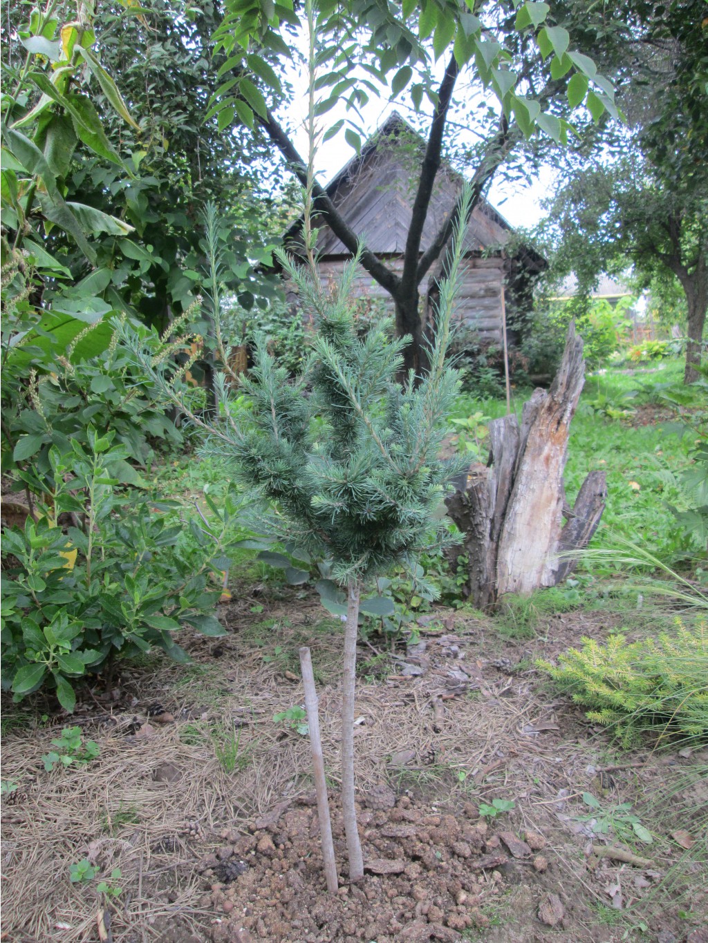 IMG 3665.JPG
