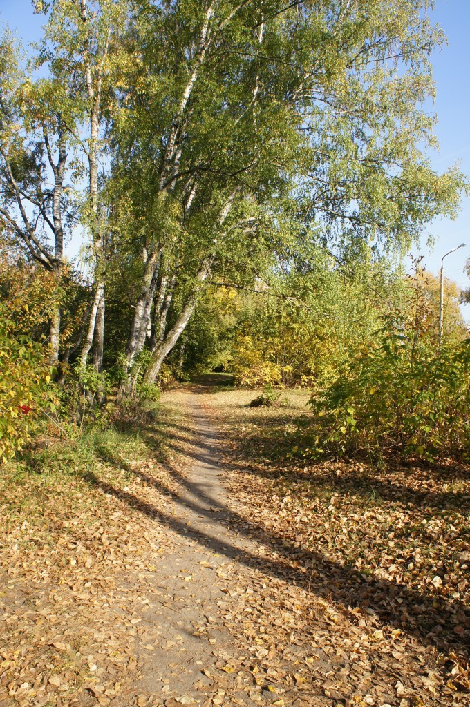 DSC07246.JPG