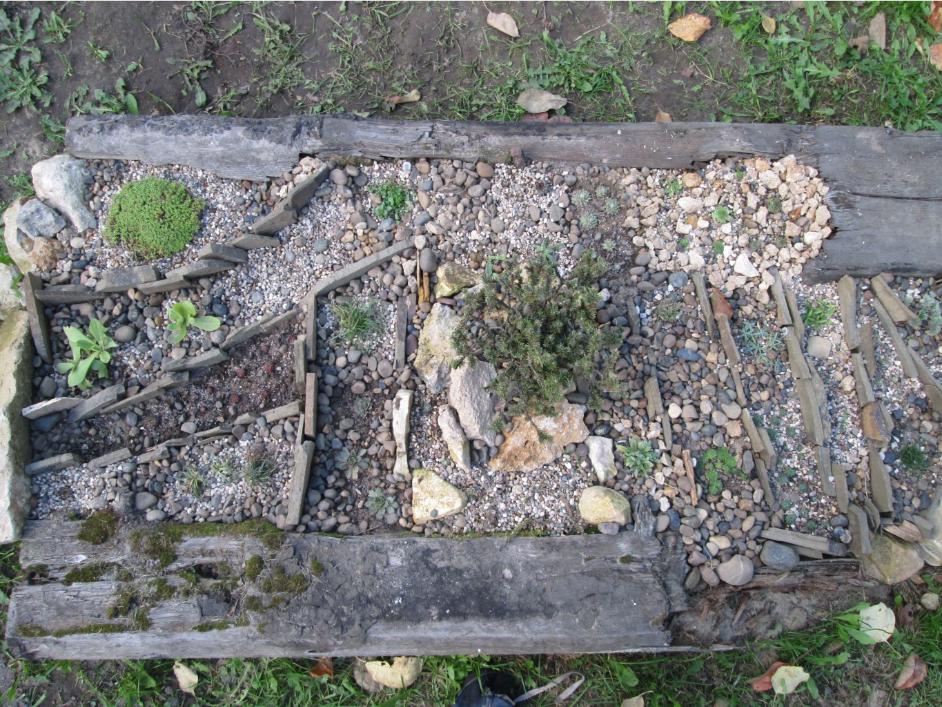 IMG 3698.JPG