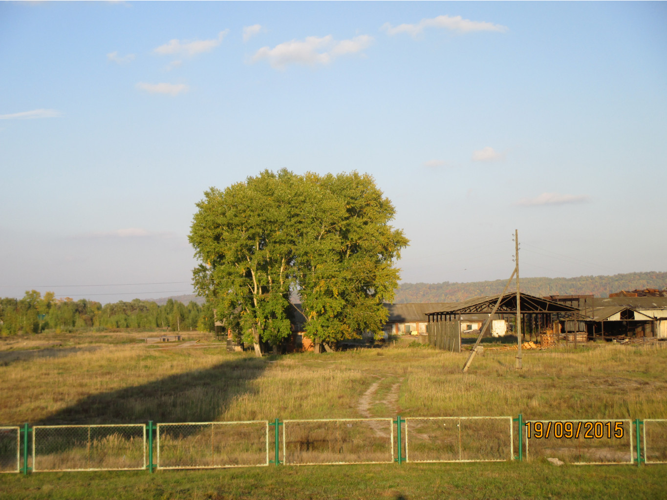 IMG 0346.JPG