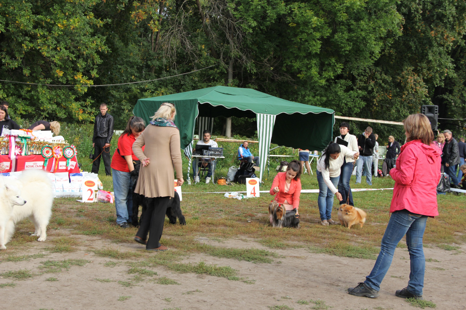 IMG 7277.JPG