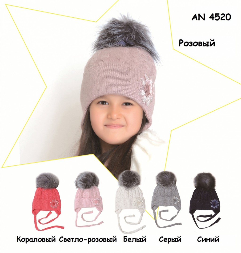 AN 4520 950р
