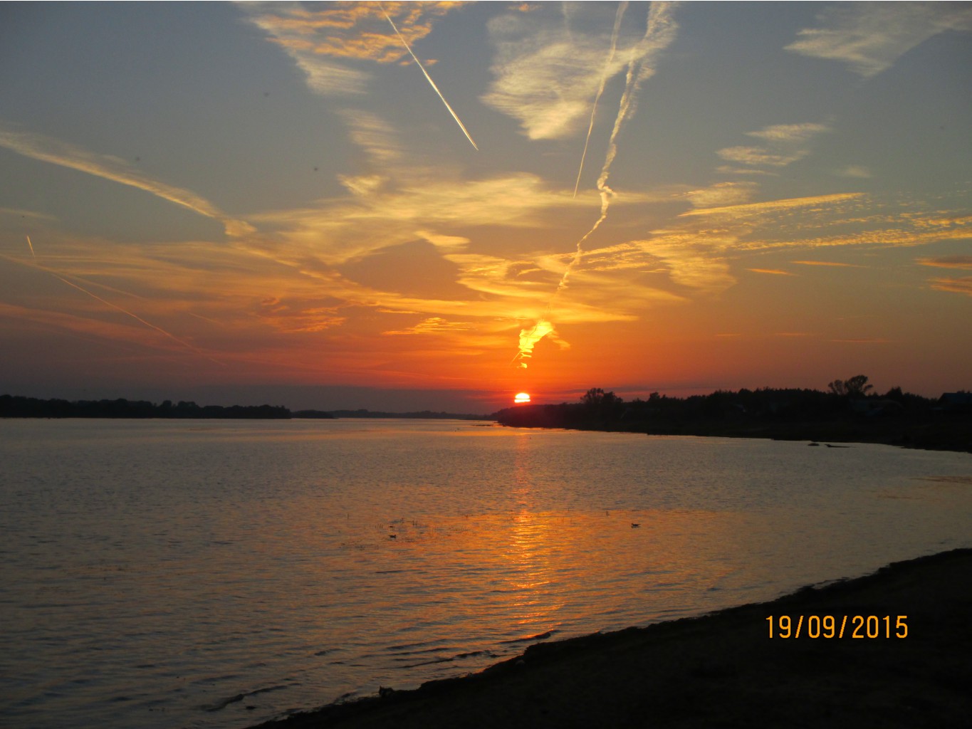 IMG 0350.JPG
