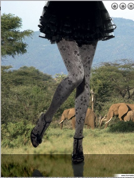 12.   BRISA seta 80.jpg