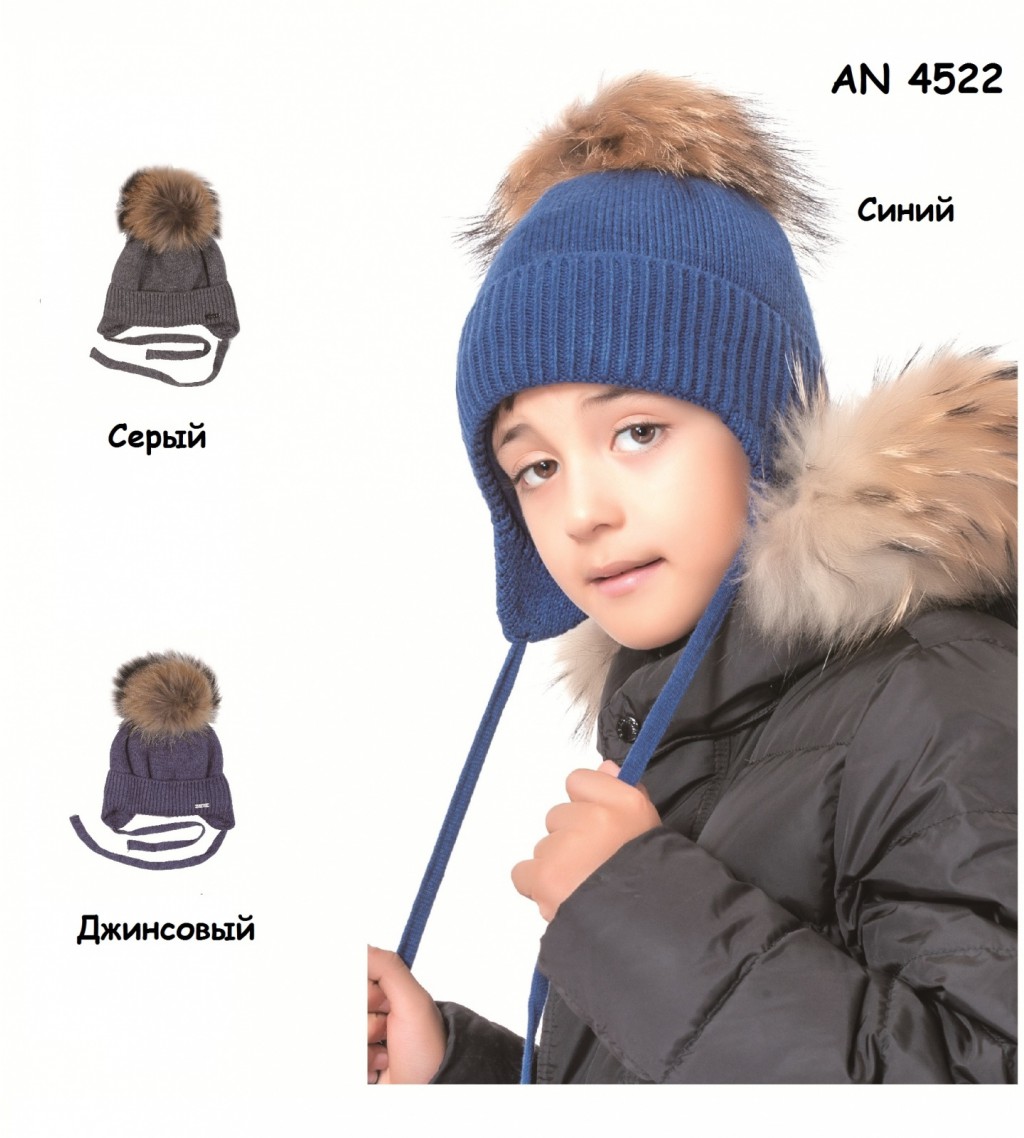 AN 4522 900р