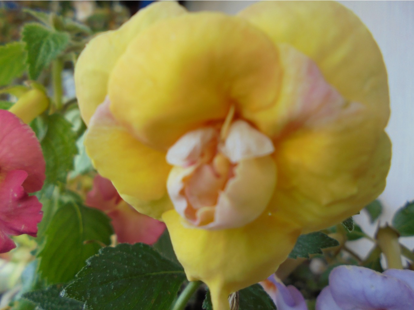 DSC01913.JPG