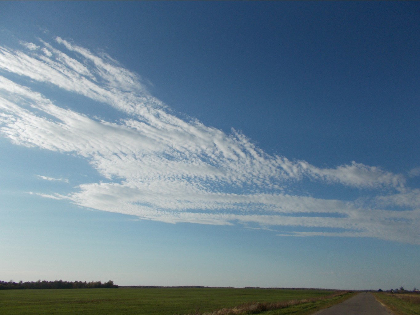 DSCN1336.JPG