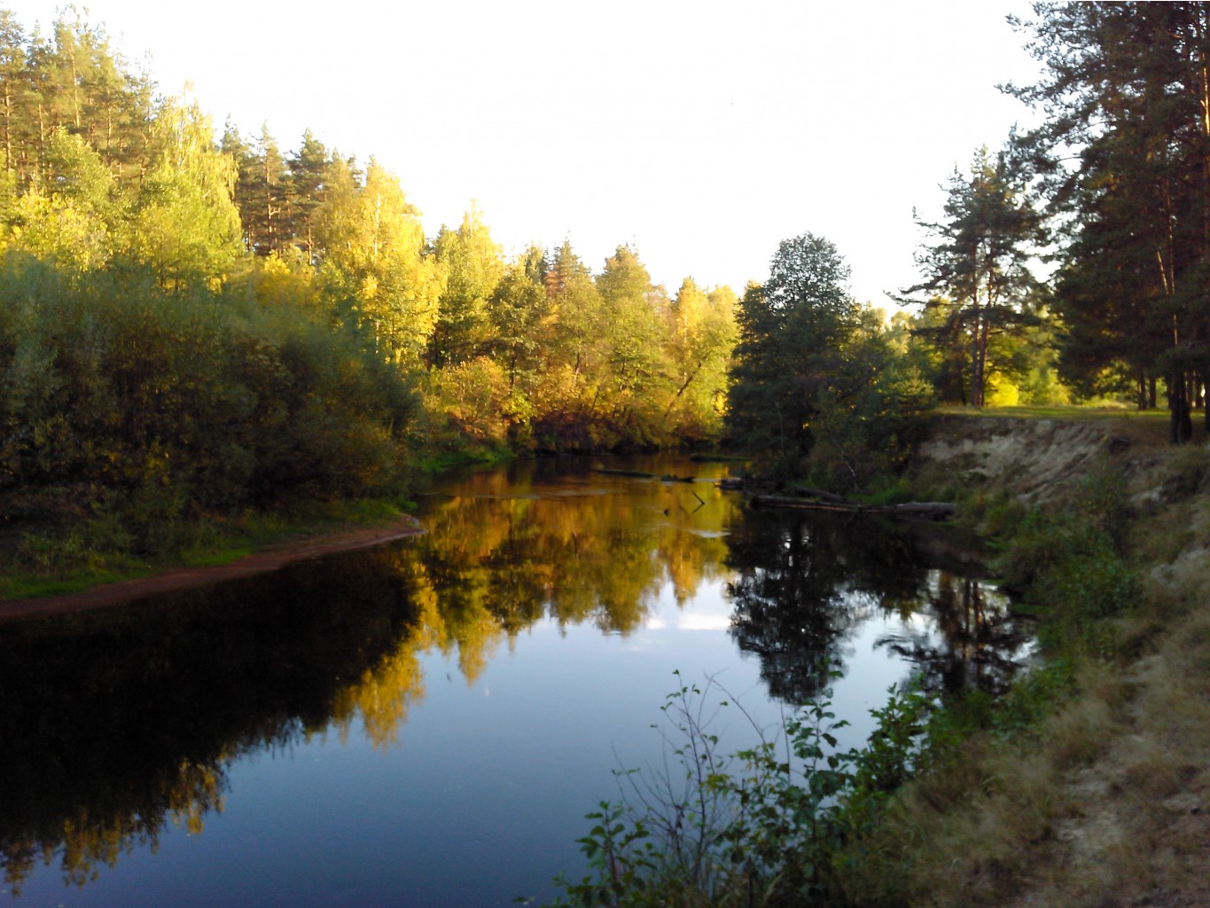 IMG 20150920 170605.jpg