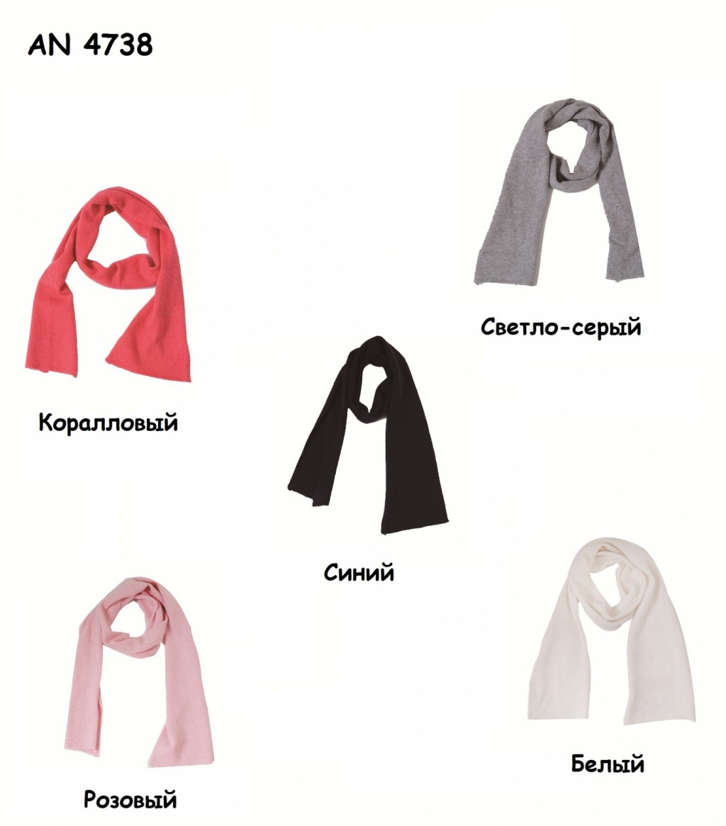 AN 4738 350р