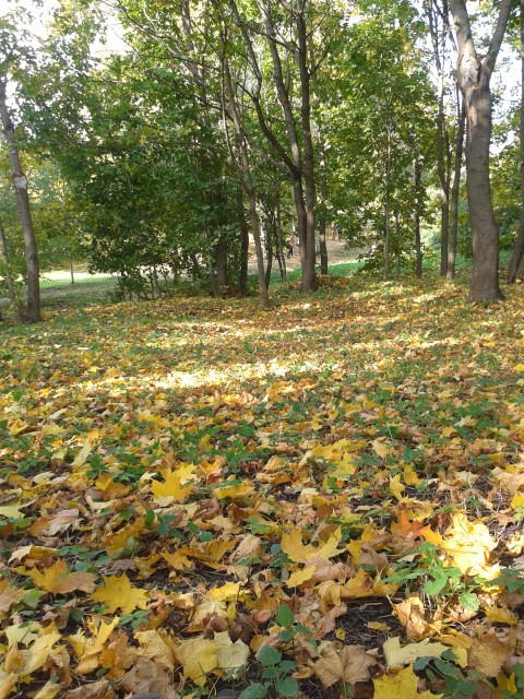 20150919 140324.jpg
